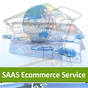 Hosted Ecommerce Service Based On SAAS Platform